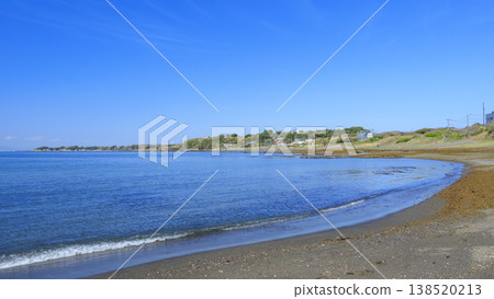 三浦半島三戶濱海灘的春天 三浦半島三戶濱海灘的春天 138520213