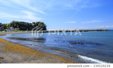 三浦半島三戶濱海灘的春天 三浦半島三戶濱海灘的春天 138520216