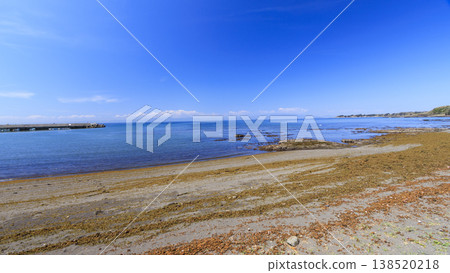 三浦半島三戶濱海灘的春天 三浦半島三戶濱海灘的春天 138520218
