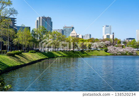 永田町櫻花盛開的景象。 永田町櫻花盛開的景象。 138520234
