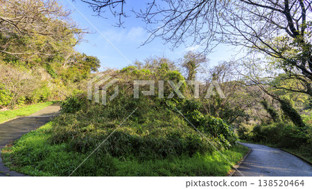 Spring in the Koajiro Forest, the only watershed in the Kanto region Spring in the Koajiro Forest, the only watershed in the Kanto region 138520464