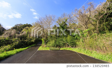 Spring in the Koajiro Forest, the only watershed in the Kanto region Spring in the Koajiro Forest, the only watershed in the Kanto region 138520465