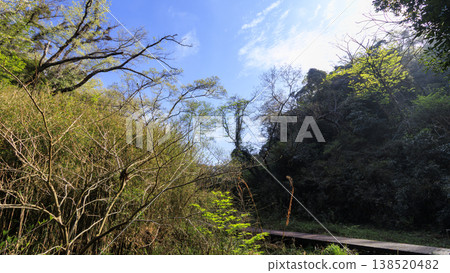 Spring in the Koajiro Forest, the only watershed in the Kanto region Spring in the Koajiro Forest, the only watershed in the Kanto region 138520482