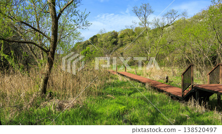 Spring in the Koajiro Forest, the only watershed in the Kanto region Spring in the Koajiro Forest, the only watershed in the Kanto region 138520497