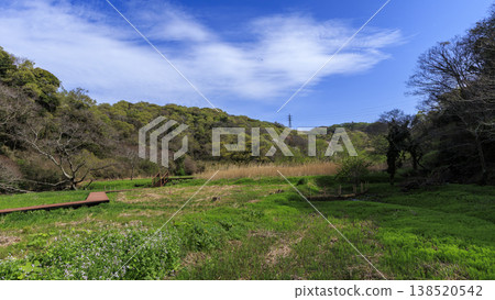 Spring in the Koajiro Forest, the only watershed in the Kanto region 138520542