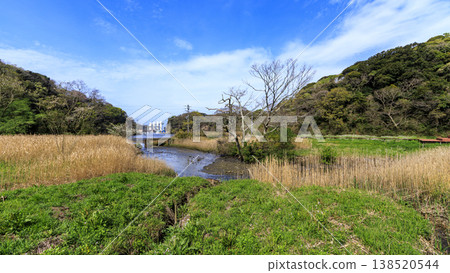 Spring in the Koajiro Forest, the only watershed in the Kanto region 138520544
