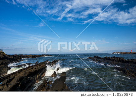 城島的春天 138520878