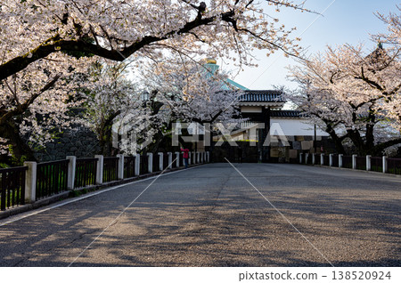 清晨，櫻花盛開，皇宮的大安門景色盡收眼底。 138520924