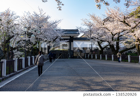 清晨,櫻花盛開,皇宮的大安門景色盡收眼底。 清晨,櫻花盛開,皇宮的大安門景色盡收眼底。 138520926