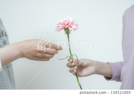 母親節:一隻手握著一朵康乃馨 母親節:一隻手握著一朵康乃馨 138521005