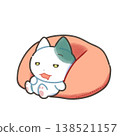 睡眠貓 138521157