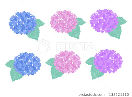 Colorful hydrangea illustration set Colorful hydrangea illustration set 138521310