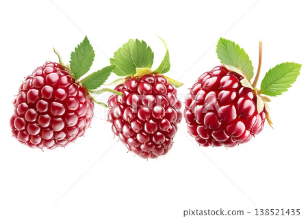 Shiny ripe loganberries or raspberry with vibrant green leaves, on white background. Concept of freshness and healthy food Shiny ripe loganberries or raspberry with vibrant green leaves, on white background. Concept of freshness and healthy food 138521435