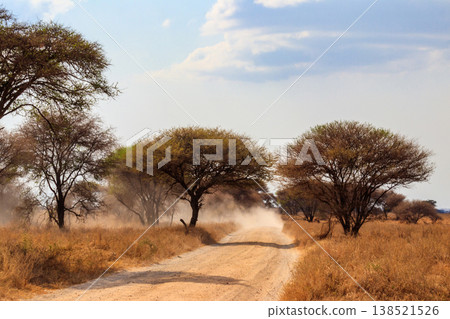 Road in Tarangire national park in Tanzania, Africa 138521526