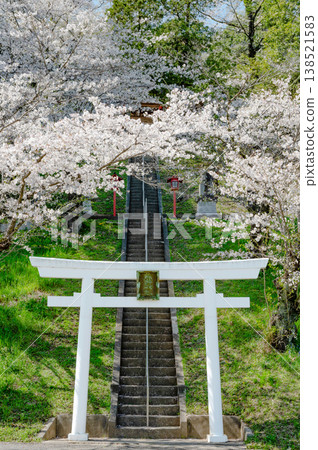 Jike Kumano Shrine with cherry blossoms in full bloom (sign and power lines removed). Jike Kumano Shrine with cherry blossoms in full bloom (sign and power lines removed). 138521583