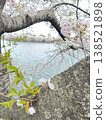 Kawazu cherry blossoms blooming along the river 138521898