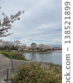 Scenery with cherry blossoms 138521899
