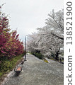 Road with cherry blossoms 138521900