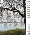 Cherry blossoms appearing on the surface of the water 138521901