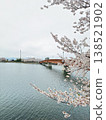 Scenery with cherry blossoms 138521902