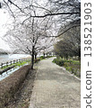 Scenery with cherry blossoms 138521903
