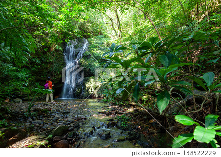 Yanbaru Forest and Waterfalls Yanbaru Forest and Waterfalls 138522229