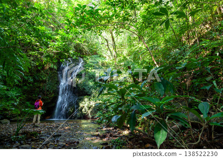延巴魯森林和瀑布 138522230