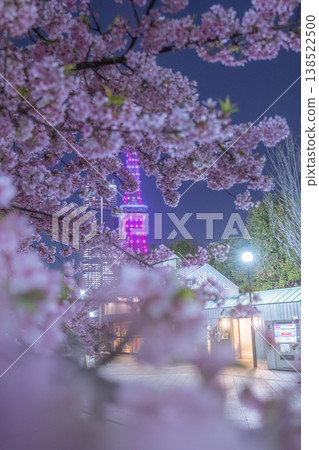 芝公園的夜櫻 138522500