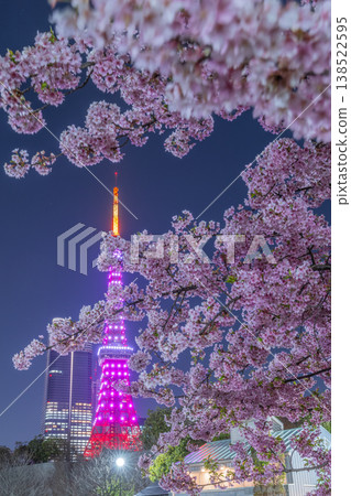 芝公園的夜櫻 芝公園的夜櫻 138522595
