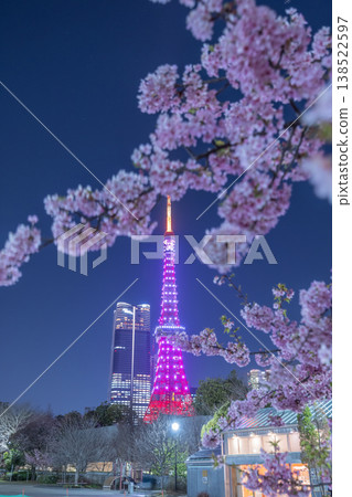 芝公園的夜櫻 芝公園的夜櫻 138522597