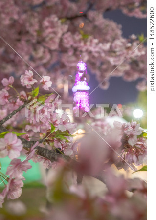 芝公園的夜櫻 138522600