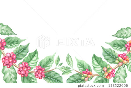 Watercolor border featuring a coffee plant branch with green leaves and coffee berries.A foliage design with ripening coffee beans. Isolated botanical illustration for print, design, and decoration. Watercolor border featuring a coffee plant branch with green leaves and coffee berries.A foliage design with ripening coffee beans. Isolated botanical illustration for print, design, and decoration. 138522606