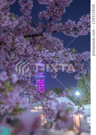 芝公園的夜櫻 芝公園的夜櫻 138522608