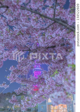 芝公園的夜櫻 芝公園的夜櫻 138522609