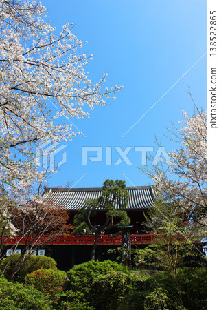 Shimizu Kannondo的櫻花 138522865