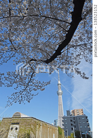 Distant view of the Sky Tree Distant view of the Sky Tree 138523152
