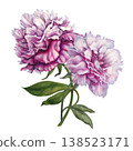 Pink peonies, painted in watercolor, with pastel and rich pink blooms, arranged in an elegant botanical composition. Hand-painted floral illustration for wedding invitation, branding, packaging, decor 138523171