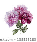 Bouquet of three watercolor peonies with soft pastel and rich pink blooms, arranged in an elegant botanical composition. Hand-painted floral illustration for wedding invitations, branding, packaging 138523183
