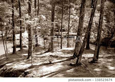 Old photo from 1962, garden of Saihoji Temple, Kyoto 138523674