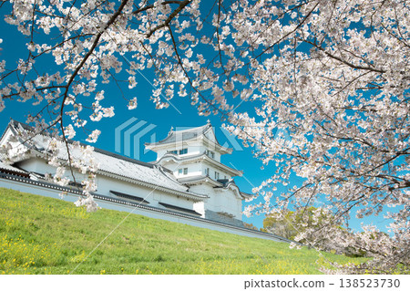 櫻花、藍天、城堡 櫻花、藍天、城堡 138523730