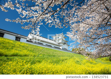 Blue, pink, yellow, a castle in full bloom of spring Blue, pink, yellow, a castle in full bloom of spring 138523731