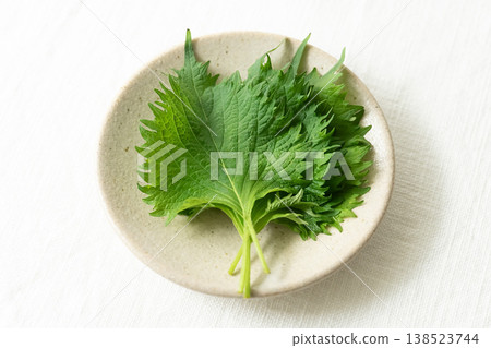 白色背景上的小碟子裡放著紫蘇葉 138523744
