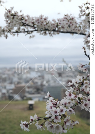 Yonago Castle Ruins in Yonago City, Tottori Prefecture in Spring Yonago Castle Ruins in Yonago City, Tottori Prefecture in Spring 138523788