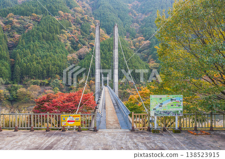 從靜岡縣川根本町眺望南阿爾卑斯山雪草吊橋。 從靜岡縣川根本町眺望南阿爾卑斯山雪草吊橋。 138523915