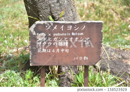Kobe City Forest Botanic Garden Kobe City Forest Botanic Garden 138523929