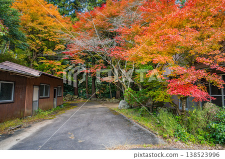 愛知縣新城市鳴澤瀑布週邊的紅葉景觀 138523996