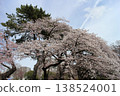 Tsutsujigaoka Park, Miyagino Ward, Sendai City, Miyagi Prefecture - Cherry Blossoms Tsutsujigaoka Park, Miyagino Ward, Sendai City, Miyagi Prefecture - Cherry Blossoms 138524001