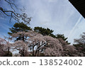 Tsutsujigaoka Park, Miyagino Ward, Sendai City, Miyagi Prefecture - Cherry Blossoms Tsutsujigaoka Park, Miyagino Ward, Sendai City, Miyagi Prefecture - Cherry Blossoms 138524002