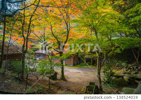 愛知縣新城市鳴澤瀑布週邊的紅葉景觀 138524019