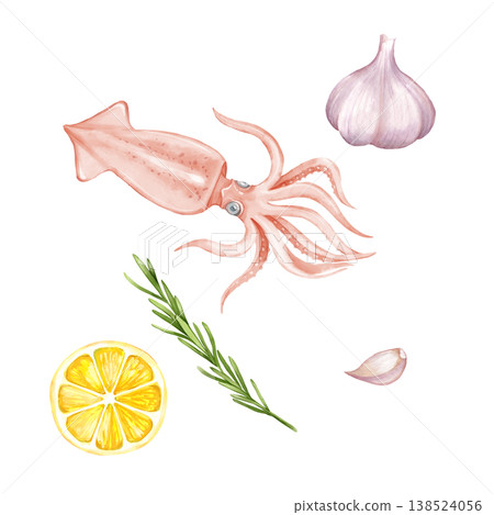 Raw squid, garlic bulb, rosemary branch and lemon slice. Seafood ingredients hand drawn illustration Raw squid, garlic bulb, rosemary branch and lemon slice. Seafood ingredients hand drawn illustration 138524056